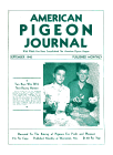 Magazine Cover